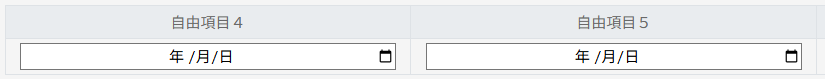 自由項目4または自由項目5